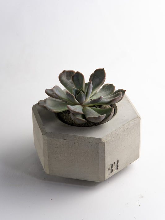 M80 nut vase