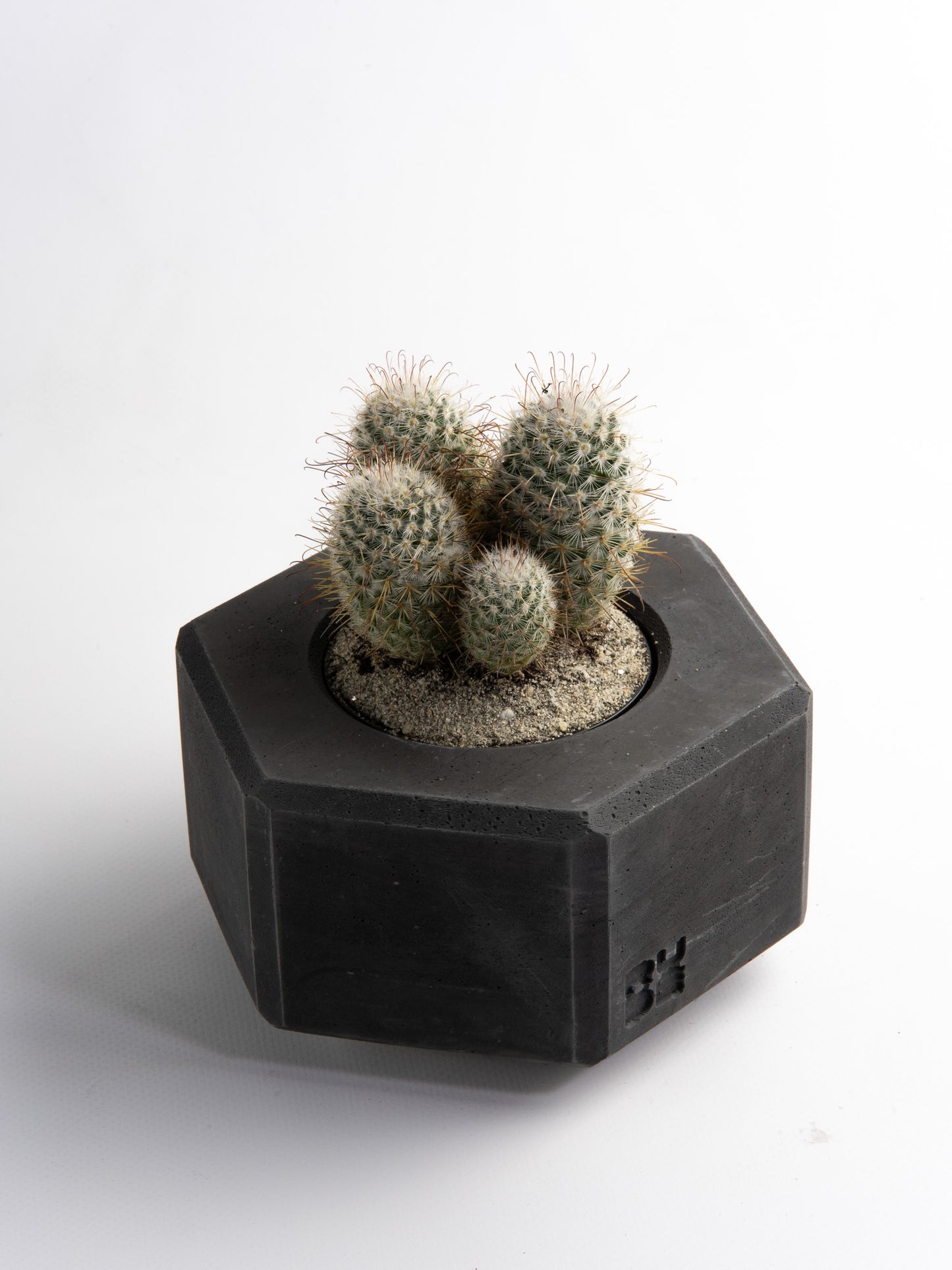 M80 nut vase