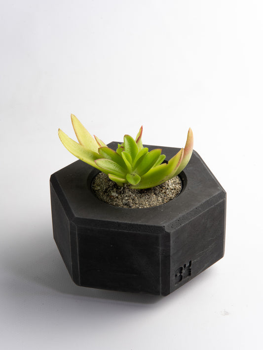 M80 nut vase